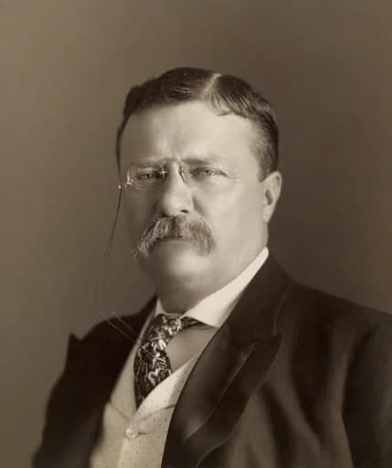 Portrait of Theodore Roosevelt